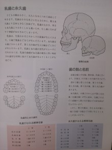 やまもと歯科クリニックのブログ